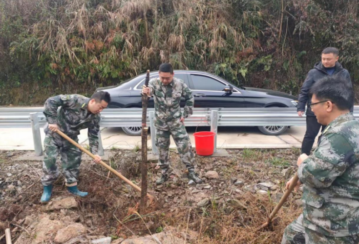 洪江市熟坪乡：绘生态底色 筑绿色屏障