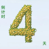 世界稻都 情醉怀化 第三届怀化市旅游发展大会倒计时4天