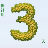 世界稻都 情醉怀化 第三届怀化市旅游发展大会倒计时3天