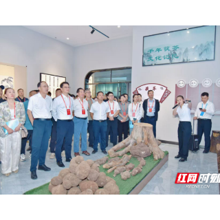 湖南靖州:“中国茯苓之乡”热辣滚烫 与会嘉宾会前“探营”