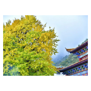 五溪秋实记丨 穿山越“海” 去鹤城凉山“追”秋(福地怀化·风物季)