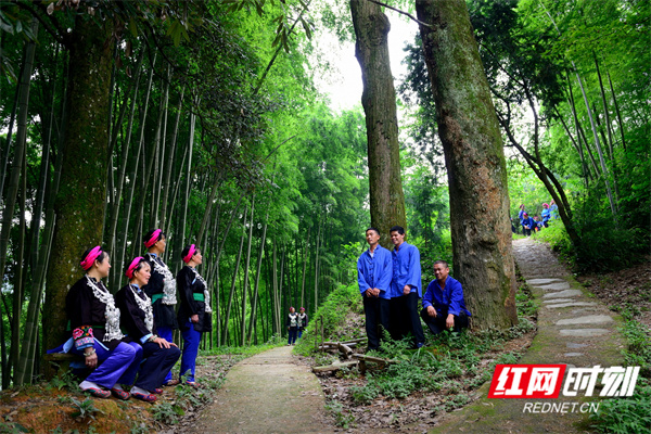 苗族歌鼟(组4-4)_调整大小.jpg 苗族歌鼟(组4-4)_调整大小.jpg