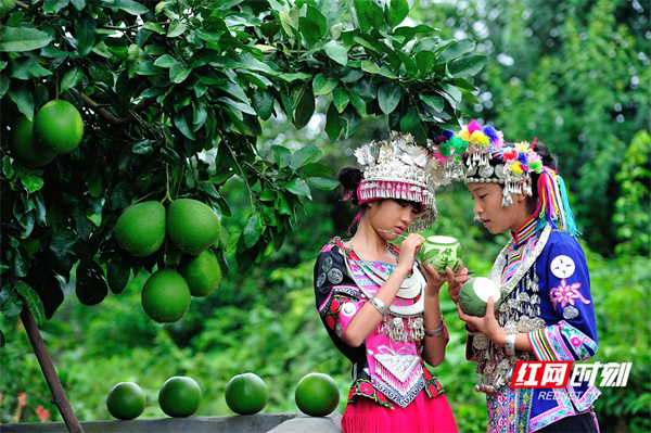 靖州雕花蜜饯(组4-2)_调整大小.jpg 靖州雕花蜜饯(组4-2)_调整大小.jpg