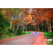 靖州，藏在山水间的“精神原乡”