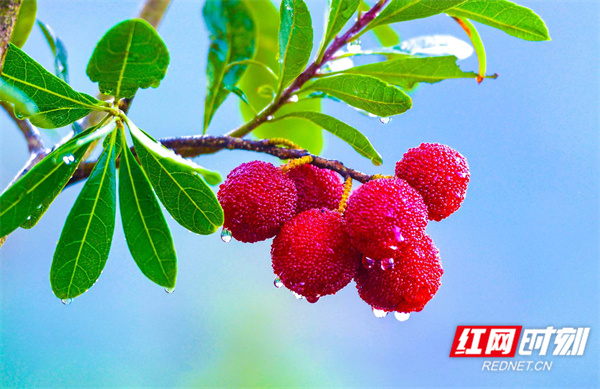 微信图片_20251112154648_73_1804.jpg 微信图片_20251112154648_73_1804.jpg