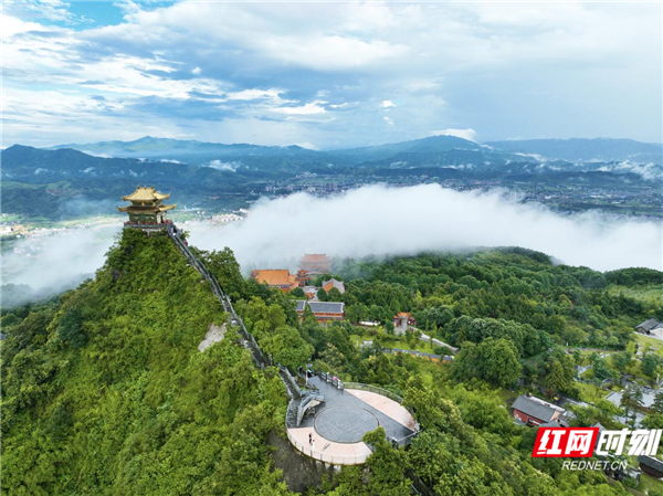 图片6.png 图片6.png