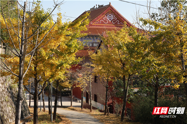 图片5.png 图片5.png