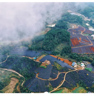 视频 | 怀化市中医药产业发展推进大会在新晃召开