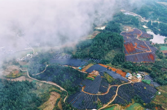 视频 | 怀化市中医药产业发展推进大会在新晃召开