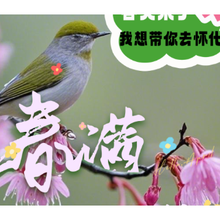福地怀化周末“荐”· AI海报 | 春天，听听“它们”怎么说