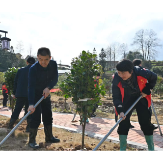 视频丨怀化：春风十里，不如植树有你