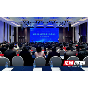 医保数据“亮家底”  湖南首场医保数据定向发布会在怀化举办