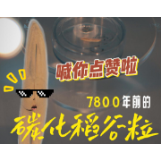 高庙文物怎么“活”？看这儿！（五）7400岁的碳化稻谷粒“喊你点赞啦”