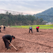 沅陵县大合坪乡：村民抢抓农时 田间地头备耕忙