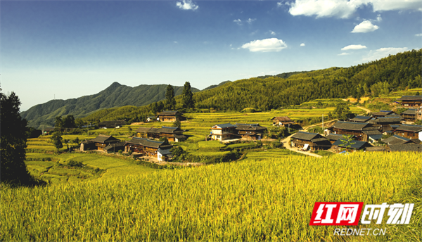 微信图片_20250415133032.png 微信图片_20250415133032.png