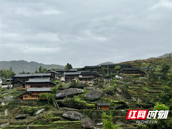 微信图片_20250415133025.jpg 微信图片_20250415133025.jpg