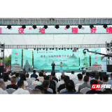 红观五溪 | 文旅引流 科技增值 看一颗杨梅在靖州的“商业觉醒”