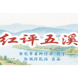 红评五溪丨陆港大道：以基建升级之笔，书鹤中一体化理念革新之章
