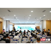 共商非遗发展“新玩法” 湖南非遗出海商品交易会举行