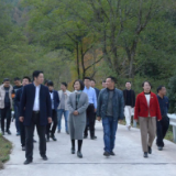 团省委在怀化调研中长期青年发展规划全国试点工作