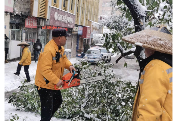 大雪压垮大树影响市民出行  怀化工务段职工及时抢险