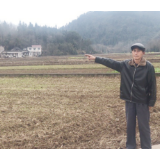 新春走基层 | 苗寨“宋主任”  春节有点忙