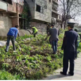 整治违规种菜 太平溪沿岸再现靓丽风景