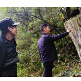 一个村寨与红军的故事