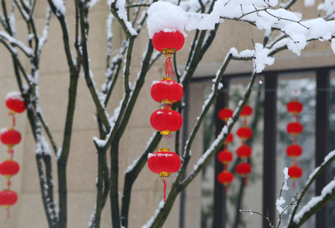 组图 | 雪映红灯灯更红，人清雪路路畅通