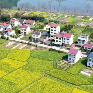 麻阳舒家村乡：万名群众“动”起来    人居环境靓起来