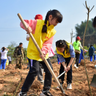 让森林走进城市 怀化第七届“城市公益林”活动正式开启