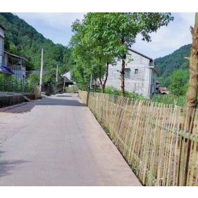 沅陵县七甲坪镇：竹篱笆围出“好村容”