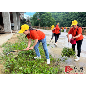 通道：人居环境整治 村居公益人在行动