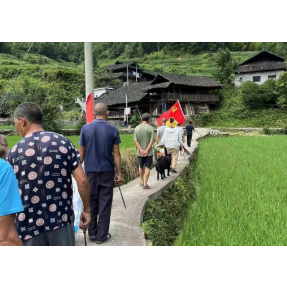 沅陵凉水井镇：党建引领 带出人居环境治理新模式