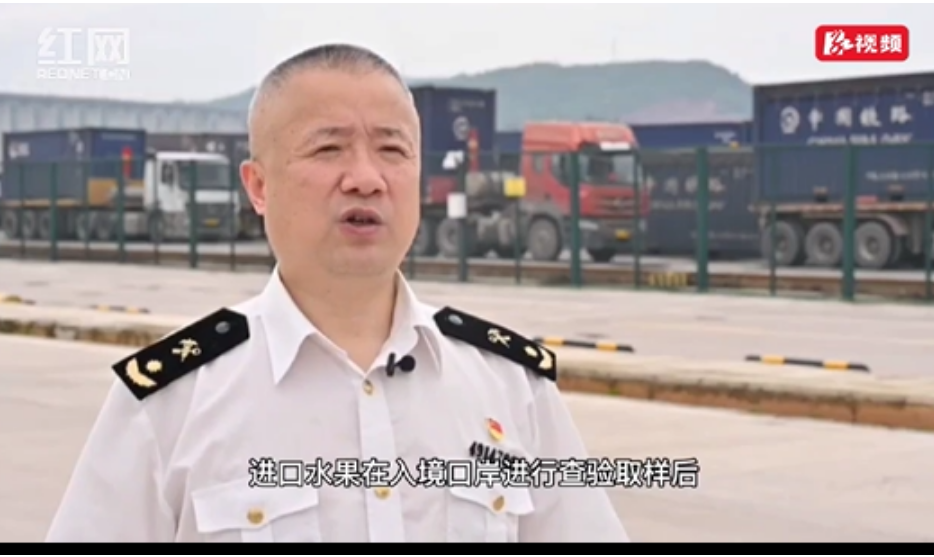 陆港建设齐发力 | 怀化海关：持续优化通关保障 做好对外贸易“监管员”
