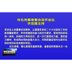 市委常委会召开会议 许忠建主持