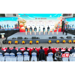 “橙”果出海 助农增收   2023“世界长寿乡”麻阳冰糖橙采摘季开园