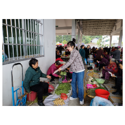 靖州：开展送法下乡活动 助力法治乡村建设