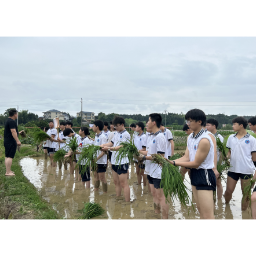 探寻农耕文化，争做一粒好种子——洪江市华清高级中学开展农耕实践之旅