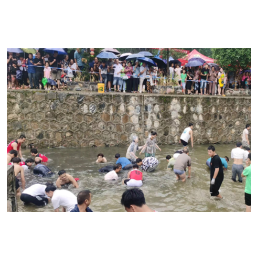 新晃：湘黔边界群众共同庆祝“孝梅节”