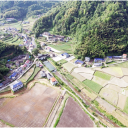 沅陵火场土家族乡：加强和美乡村建设，不断优化营商环境