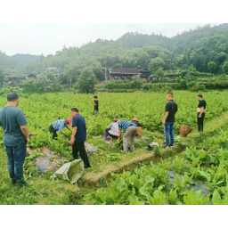 沅陵楠木铺乡黄腊溪村：“党建+”刷新和美乡村新颜值