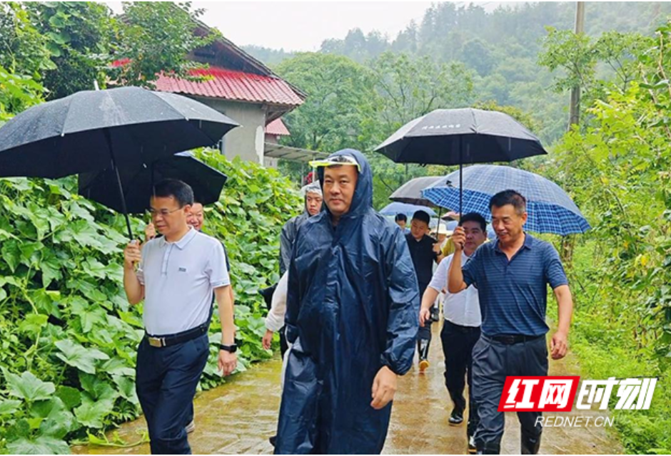 红榴夏实初 芙蓉锦渐成——写在沅陵车坪抽水蓄能电站可行性研究顺利通过之际