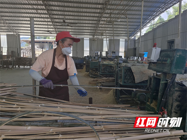 在靖州县湘竹竹业有限公司，机器轰鸣，工人们正在对南竹进行拉丝，制成一根根毛料.jpg