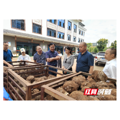 怀化市政协提案办理协商第三方评估小组赴靖州县实地调研重点提案办理效果