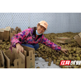 新晃：天雷山麓庆丰收喜悦，猕猴桃助力乡村振兴