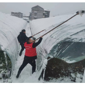 辰溪县全力做好低温冰雪天气保畅工作