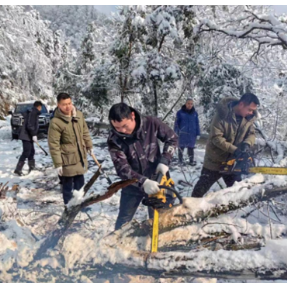 怀化鹤城区凉亭坳乡老寨溪村“三级联动”全力抗击冰雪