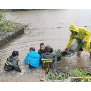 紧急避险转移群众13798户48295人！ 麻阳党员干部一线战暴雨度洪峰