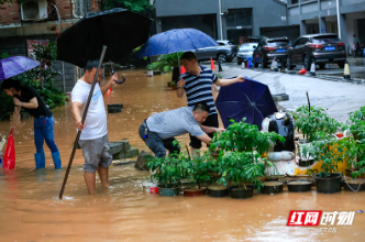 图片新闻 | 鹤城区：“抢救”城东市场